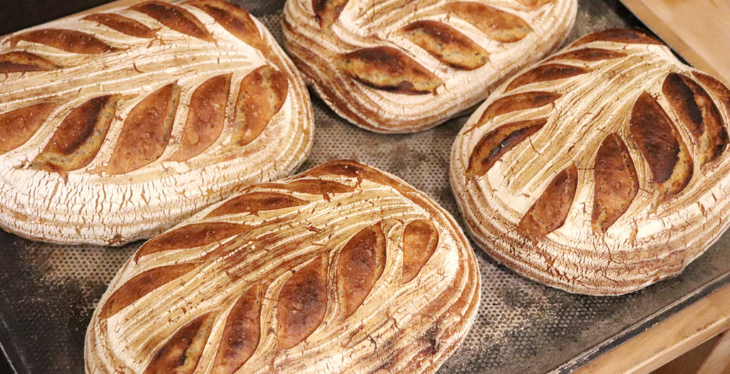 Fyra nybakade bröd på en plåt.